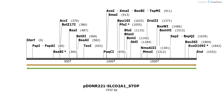312165_map