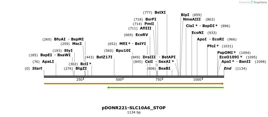 312167_map