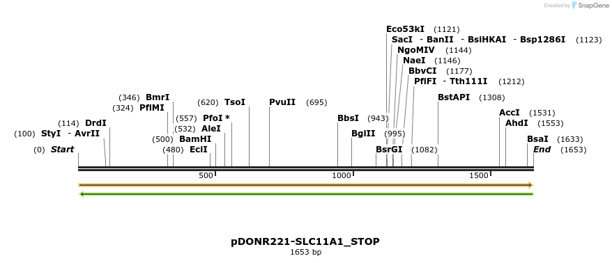 312169_map