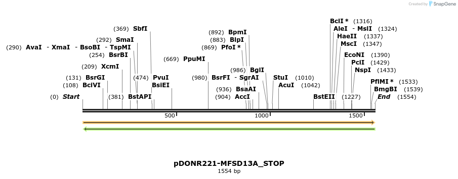 312171_map