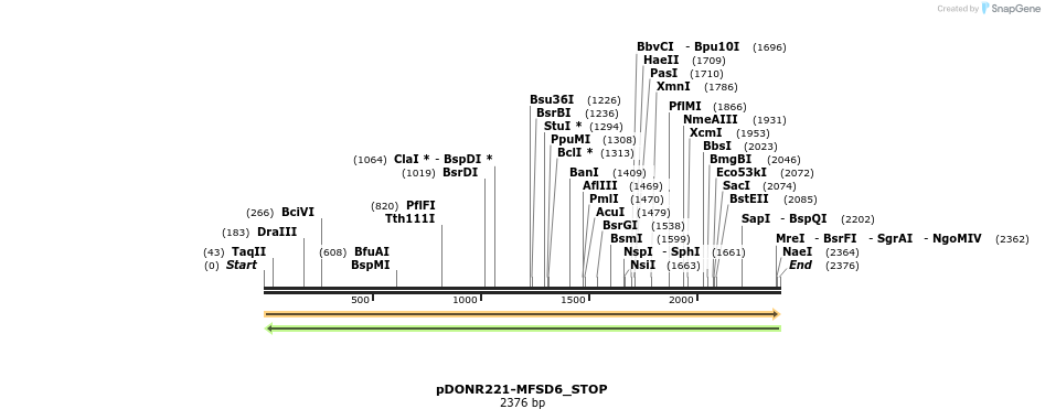 312173_map