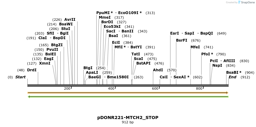312175_map