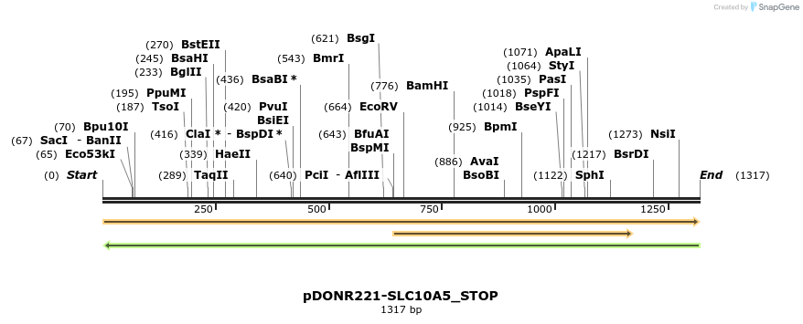 312177_map