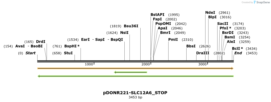 312179_map