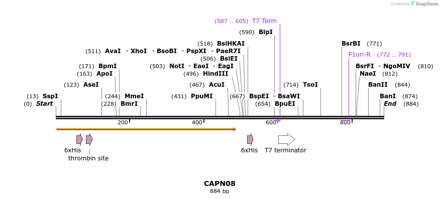 31218_map