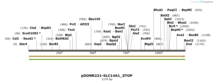 312181_map
