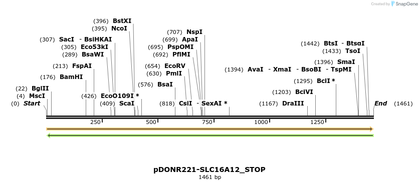 312183_map