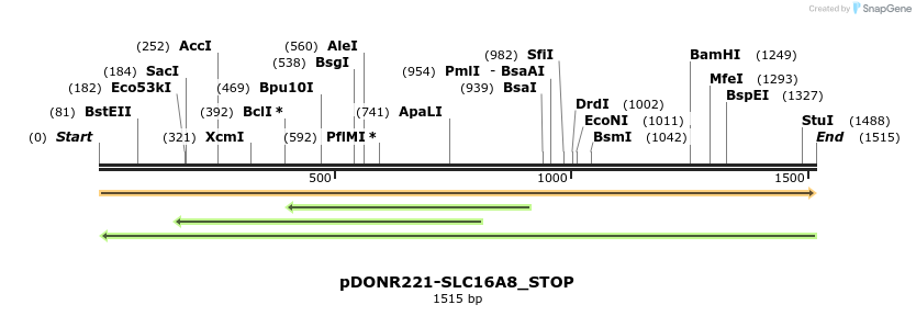 312185_map