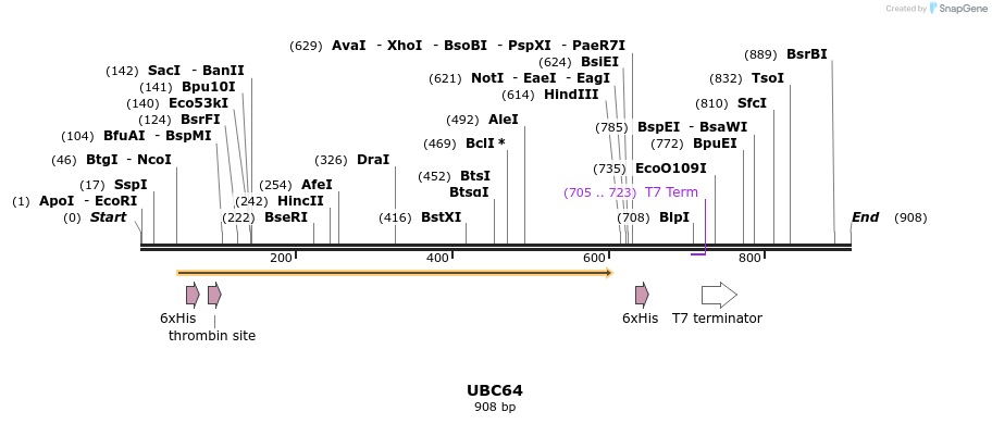 31219_map