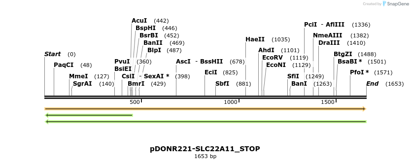 312193_map