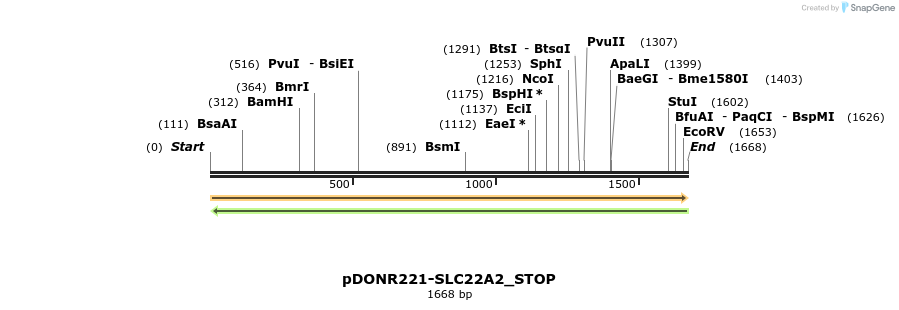 312195_map