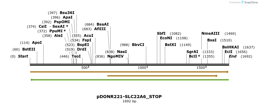 312197_map