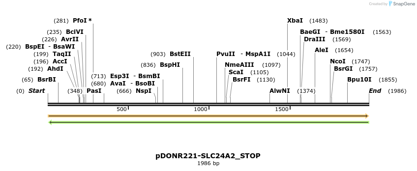 312199_map