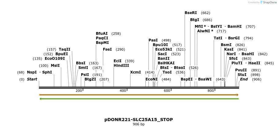 312201_map