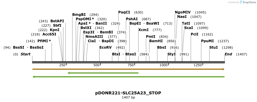 312203_map