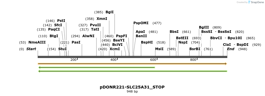 312205_map