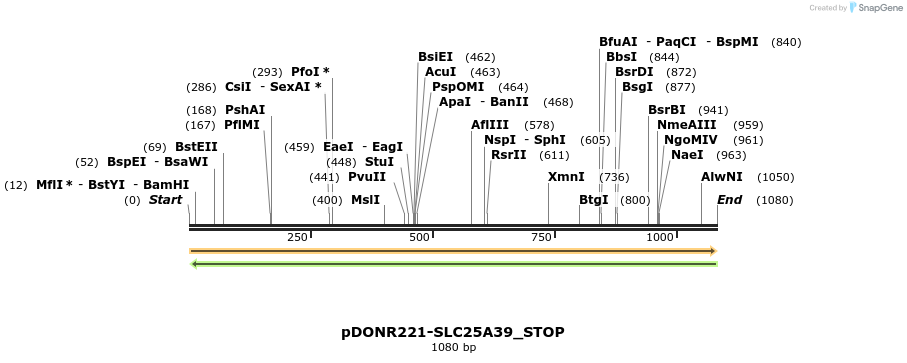 312207_map