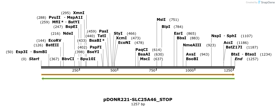 312209_map