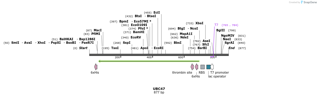 31221_map
