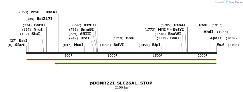 312211_map