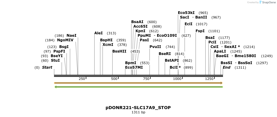312213_map