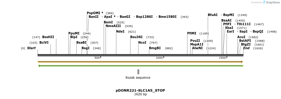 312215_map