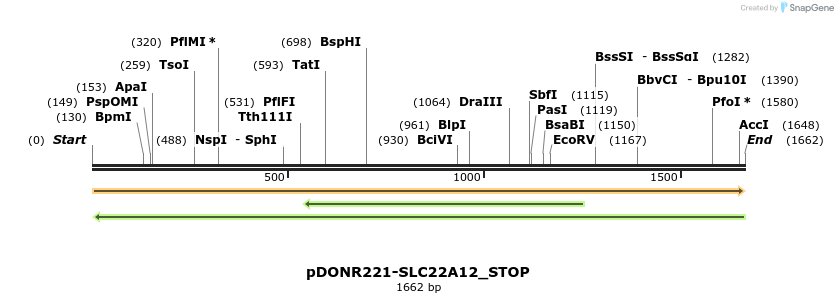 312217_map