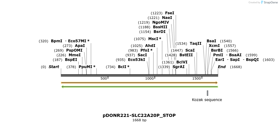312219_map