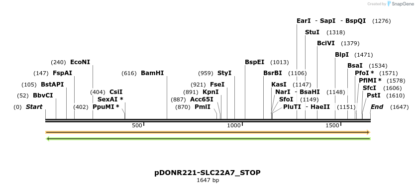 312221_map