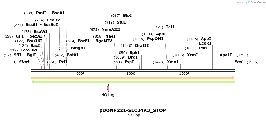 312223_map