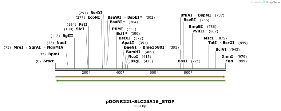 312225_map