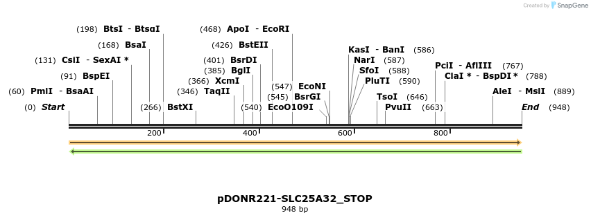 312229_map