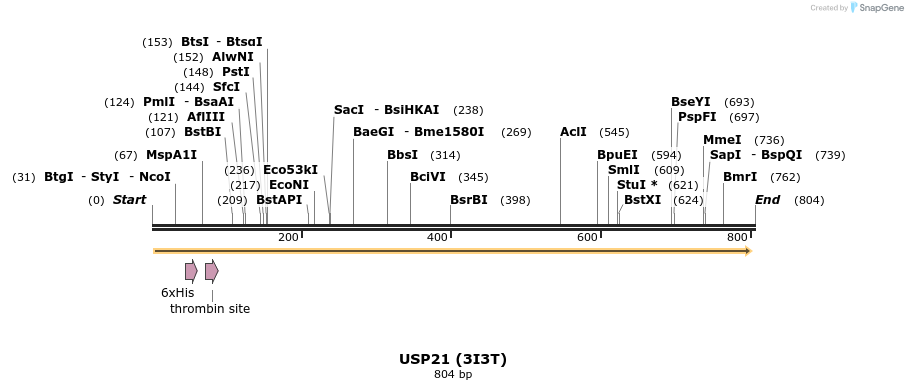 31223_map