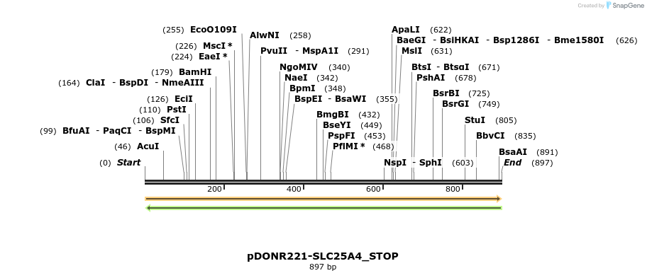 312231_map