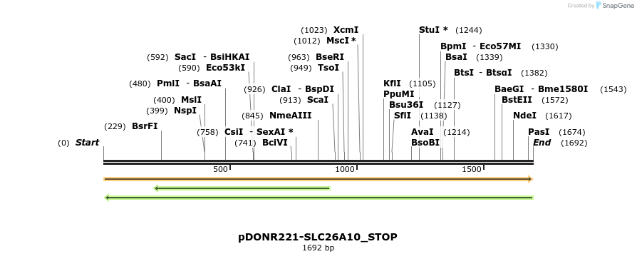 312235_map