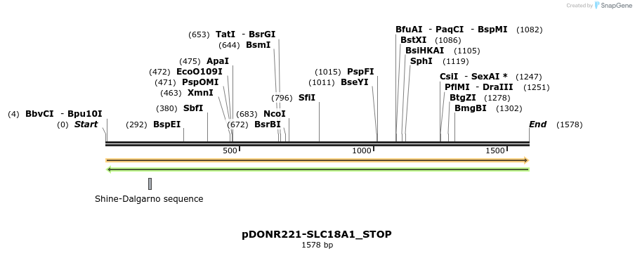 312237_map