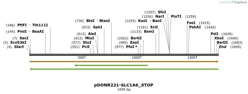 312239_map