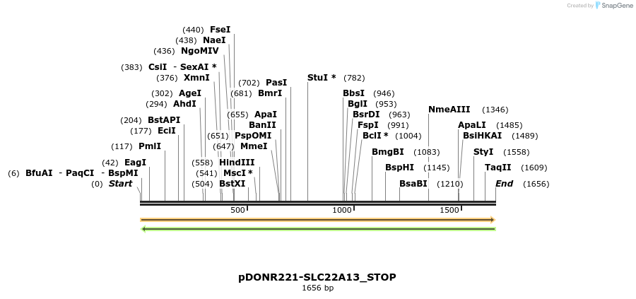 312241_map