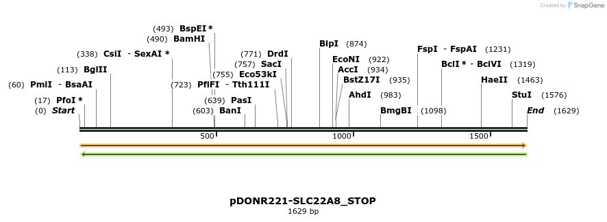 312245_map
