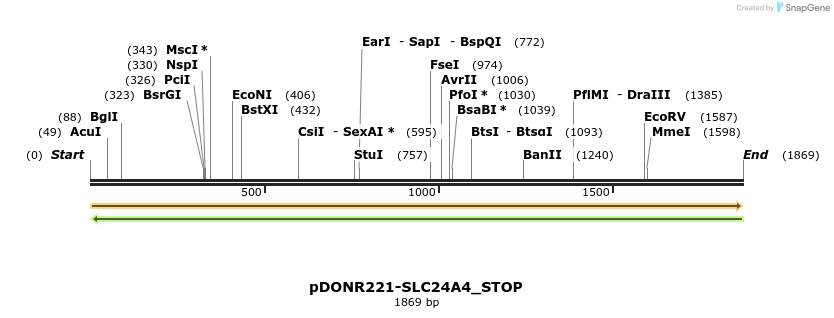 312247_map