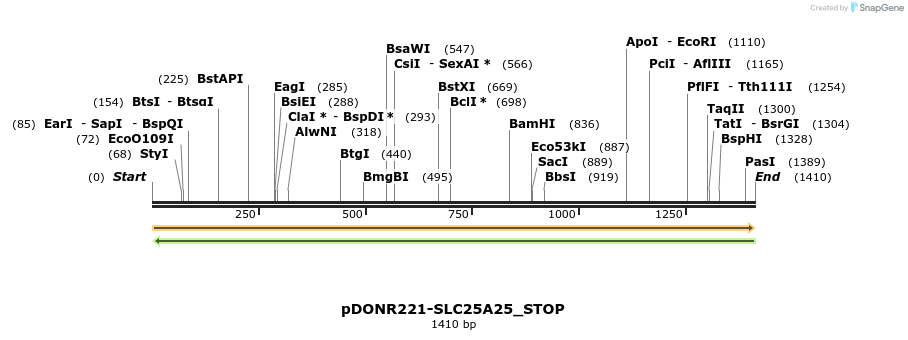 312251_map