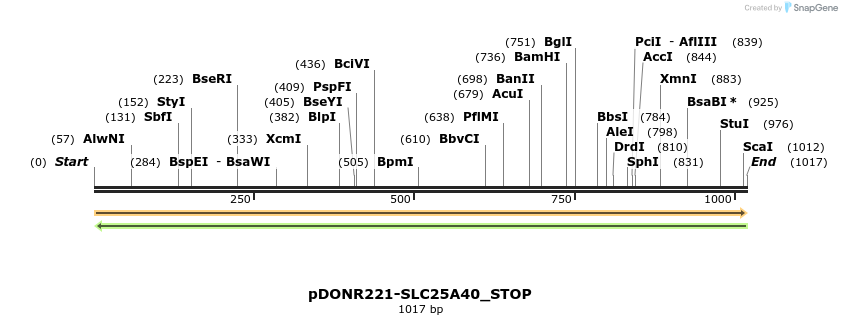 312255_map