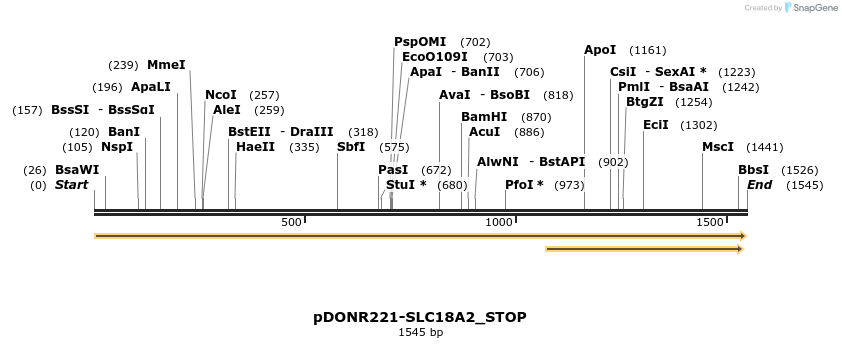 312261_map