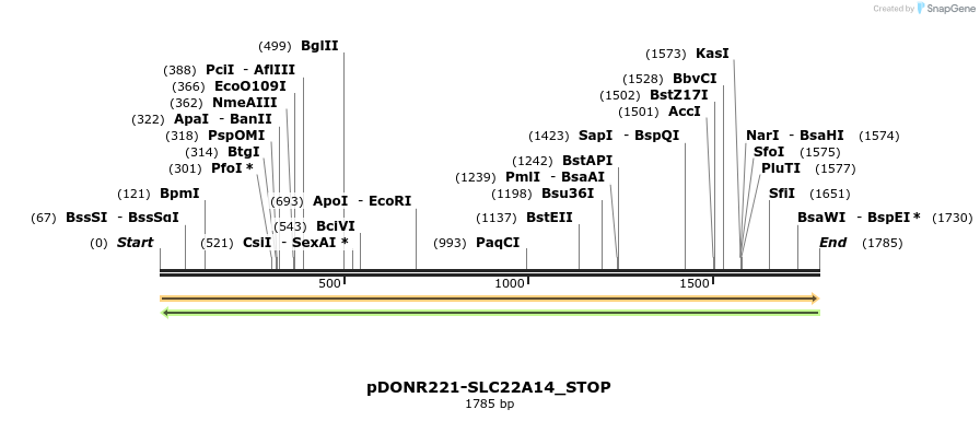 312265_map