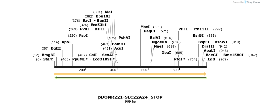 312267_map