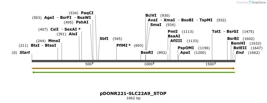 312269_map