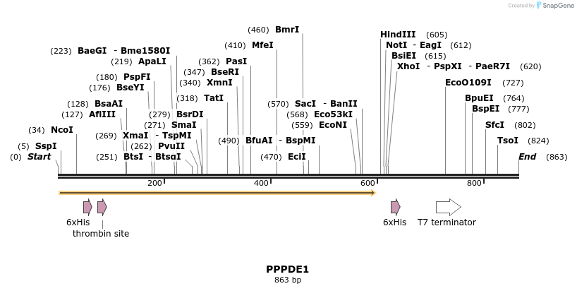 31227_map