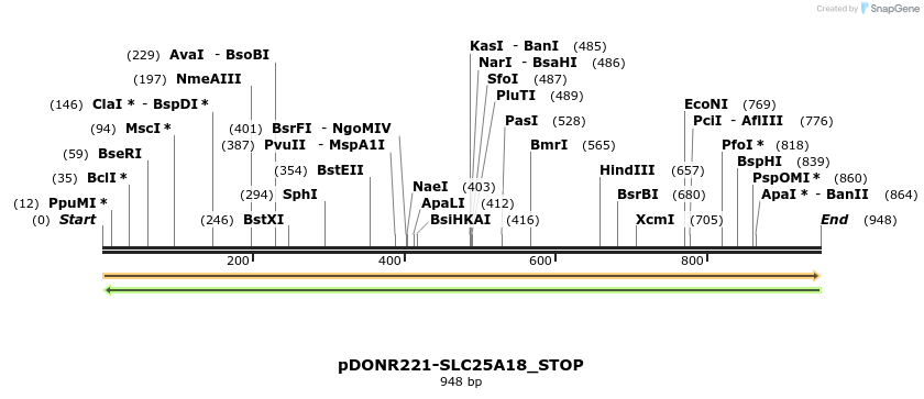 312273_map