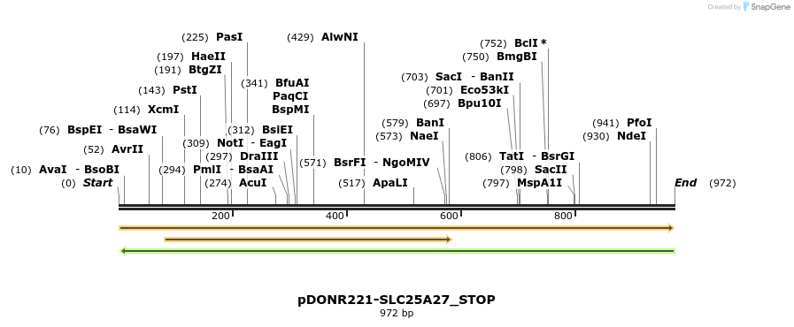 312275_map