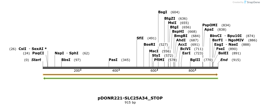 312277_map
